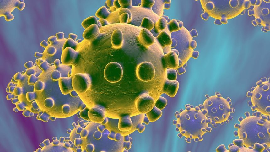 CE trebuie să știți despre CORONAVIRUS și CUM vă protejați: CE trebuie să știți despre CORONAVIRUS și CUM vă protejați: