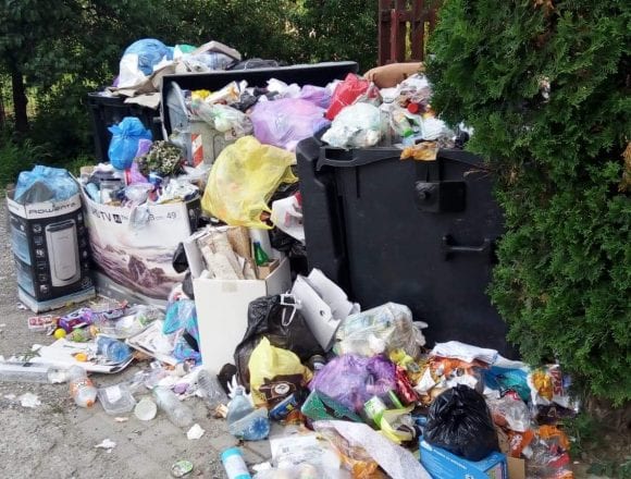 A început sancționarea celor care aruncă aiurea gunoiul. Cea mai mare amendă dată de Poliția Locală: 500 de lei A început sancționarea celor care aruncă aiurea gunoiul. Cea mai mare amendă dată de Poliția Locală: 500 de lei