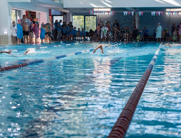 Cupa Casa EMA la înot: Zeci de medalii pentru sportivii din Bistriţa! Cupa Casa EMA la înot: Zeci de medalii pentru sportivii din Bistriţa!