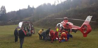 Bărbat lovit de copac în apropierea cabanei Dealul Negru. Elicopterul SMURD, salvamont și ISU BN, chemați în ajutor