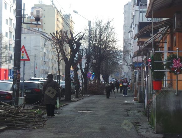 Rostul de dimineaţă: Două, trei întâmplări bizare, pe o stradă din Bistriţa Rostul de dimineaţă: Două, trei întâmplări bizare, pe o stradă din Bistriţa
