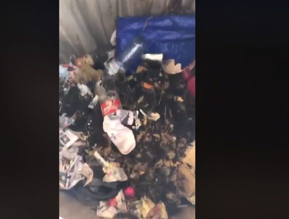 VIDEO Cum au înțeles bistrițenii să selecteze gunoiul? Ce „se ascunde” în pubelele dedicate reciclabilelor VIDEO Cum au înțeles bistrițenii să selecteze gunoiul? Ce „se ascunde” în pubelele dedicate reciclabilelor