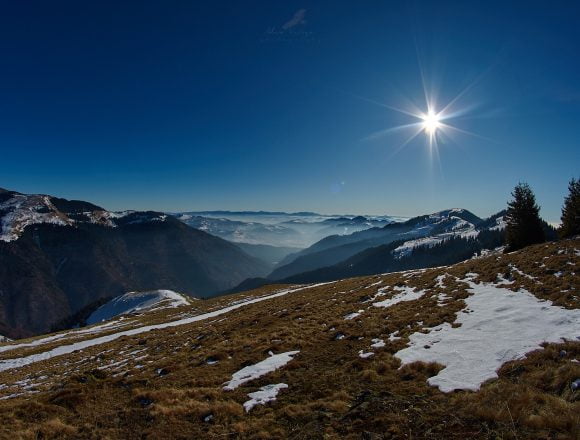 Rostul de dimineață: Dacă iarna e în toi, nici primăvara nu poate fi prea departe… Rostul de dimineață: Dacă iarna e în toi, nici primăvara nu poate fi prea departe…