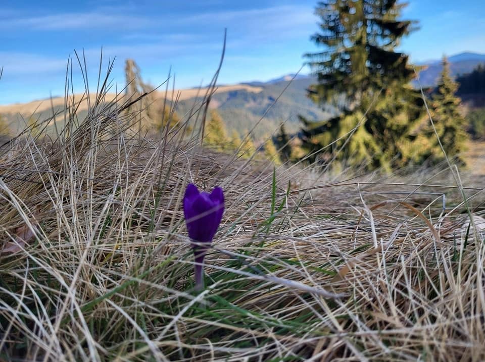 foto: Adrian Lupșan via METEO BN