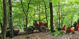 Un bărbat s-a acidentat în pădurea din Bichigiu