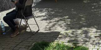 Tai un copac de pe domeniul public fără autorizație? Ești amendat și trebuie și să despăgubești Primăria Bistrița cu 8000 de lei!