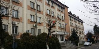 CRUNT: Un câine a murit după ce a fost schingiuit, într-o pădure din Beclean, de un adolescent!