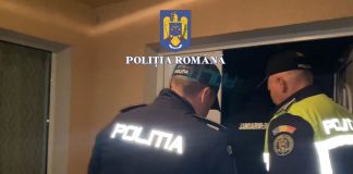 Descinderi în Bistrița-Năsăud: Prejudiciu de 300.000 de lei, fals informatic și furt de arbori!