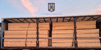 Au „plimbat” 33 mc de lemn doar în acte între Bistrița-Năsăud și Alba! Ce a decis instanța: