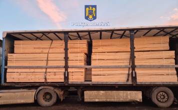 Au „plimbat” 33 mc de lemn doar în acte între Bistrița-Năsăud și Alba! Ce a decis instanța: