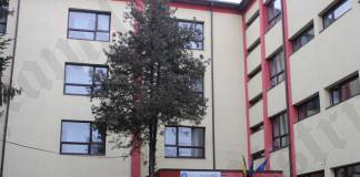 INFOEL și Liceul de Arte vor avea pereți uriași verzi! Pereții verzi de la INFOEL sunt „inspirați” din profilul tehnic al liceului