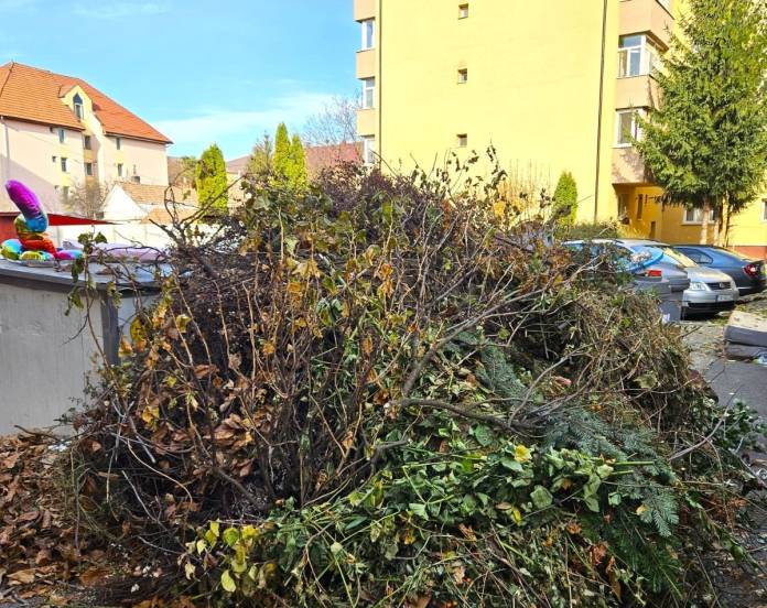 ADI Deseuri vegetale 3