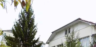 Adolescenta care a bătut anul trecut o profesoară la CSEI Beclean și-a primit pedeapsa: 4 luni sub supraveghere