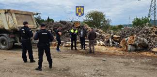 Controale-fulger în Bistrița-Năsăud: Sancțiuni dure pentru hoții de lemn, verificări cu barca pe lacul Colibița
