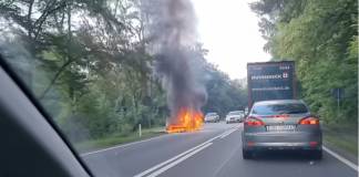 VIDEO Un Seat a ars ca o torță pe Dealul Herinei! „Spirit civic” în trafic: mașinile ocolesc incendiul și-și văd de drum