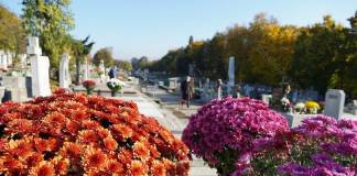 Lucrările pe strada Tărpiului se sistează temporar, cu ocazia Luminației