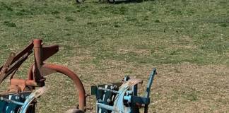 Bărbat transportat în comă, la spital, după ce s-a răsturnat cu motocultorul