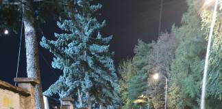 Doi microbiști – amendați la meciul de aseară cu FCSB! Unul a fost surprins sărind gardul pentru a ajunge pe stadion