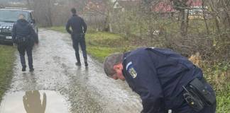 FOTO/VIDEO: Au sunat la 112 de frica unui câine apărut în zona gospodăriei