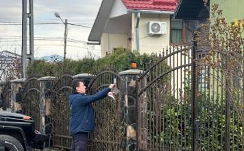 Calendarele de colectare a deșeurilor reciclabile, disponibile online de anul viitor