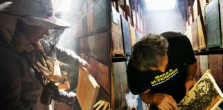 Povestea dulce a doi bistrițeni, Semida și Tavi, care s-au îndrăgostit de apicultură, după ce s-au îndrăgostit unul de altul