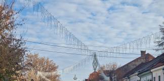FOTO – Bistrița se pregătește de Crăciun: Anul acesta, brad natural pe Pietonal și cartiere împodobite!