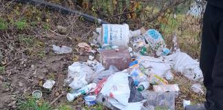 Malurile râului Bistrița NU sunt tomberon! Bistrițean amendat de Poliția Locală