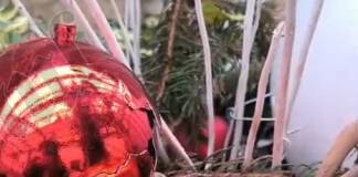 Primăria va sesiza Poliția municipiului Bistrița în legătură cu vandalizarea Pasajului Sărbătorilor