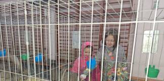 FOTO: Cei mai frumoși iepuri, într-o expoziție inedită, la Bistrița!