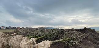 Au ajuns primii copaci din super grădina urbană de la Figa