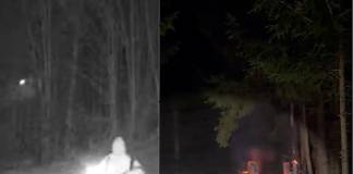 VIDEO: A dat foc la două căsuțe de vânătoare. Făptașul, prins pe camerele de supraveghere