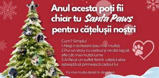 Anul acesta poți fi Santa Paws! Alegi un cățel de la Adăpostul Public și îi răspunzi la scrisoare: