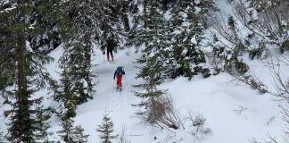 Mobilizare de forțe pentru a salva o persoană dintr-o pădure din Rodna! Elicopterul chemat, dar nu poate interveni