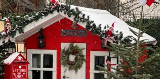 FOTO/VIDEO – Laura Mîrza și-a transformat curtea din Bistrița într-un tărâm de poveste pentru toți copiii din cartier: Zeci de copii au mâncat bezele coapte și ciocolată caldă la „Căsuța Spiridușilor”