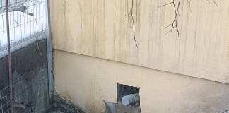 FII REPORTER – FOTO/VIDEO: Probleme, la o fosă septică de pe strada Poligonului. „Toată strada miroase a canal!”