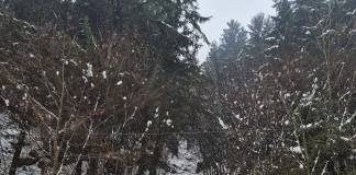 FOTO – ALERTĂ de avalanșă în Parcul Național Munții Rodnei: una deja s-a produs una între Rodna și Valea Vinului