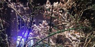 Aquabis despre avaria majoră de pe strada General Grigore Bălan: „Echipele de intervenție fac tot posibilul să remedieze situația”