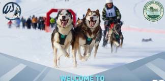 Campionatul Mondial de atelaje canine din Pasul Rotunda, anulat din cauza condițiilor meteo!