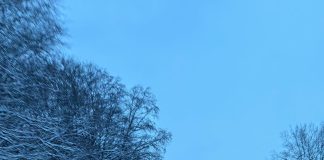 Iarnă grea: Aproape 70 la sută din sarea alocată pentru toată iarna s-a folosit în trei săptămâni