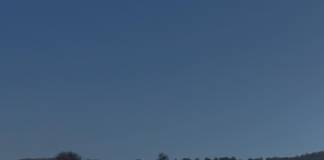 FOTO – Echipamentul tău de schi uitat în dulap, bucurie pe zăpadă pentru copilașii de la CȘEI nr. 2 Bistrița!