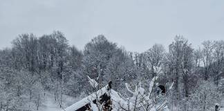 FRIG mare în Bistrița-Năsăud! Într-o localitate s-au înregistrat -17.8°C