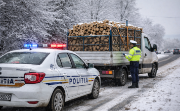 Telcian prins fără permis de conducere și cu lemne pe care nu le-a putut justifica