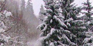 Atenție, turiști! Zăpadă de până la 70 cm în munți și trasee închise sau greu accesibile