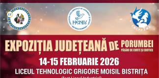 VIDEO: Expoziție de păsări exotice, porumbei și păsări de curte, în acest weekend, la Bistrița