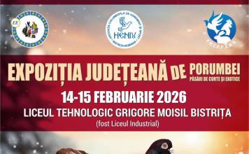 VIDEO: Expoziție de păsări exotice, porumbei și păsări de curte, în acest weekend, la Bistrița