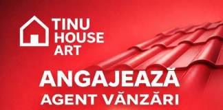 TINU House Art angajează agent vânzări: NOI locuri de muncă, în Bistrița, la CAR Credit Plan, Transmixt, MedTOTAL