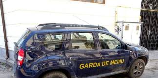 Peste 2 milioane lei, amenzile date anul trecut de Garda de Mediu! Care a fost recordul: