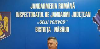 Au văzut ursul! Peste 60 de situații la care au intervenit jandarmii, în 2025: ”De cele mai multe ori nu mai găsim animalul!”