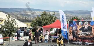 FOTO – Bistritzer Burg Dog Show, lângă pârtia Cocoș în acest an: Peste 1.000 de câini din din 13 țări, la Bistrița