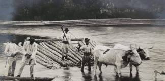 FOTO: Ziua Mondială a Apei, celebrată de Arhivele Bistrița-Năsăud cu fotografii de colecție